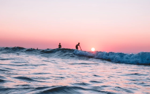 Two people surfing during a sunset